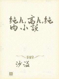 纯h,高h,纯肉小说