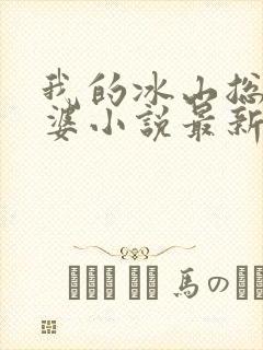 我的冰山总裁老婆小说最新章节