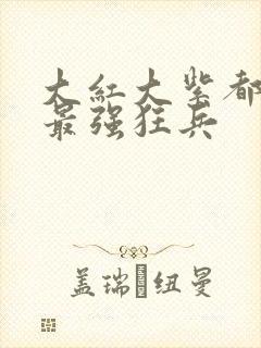 大红大紫都市之最强狂兵