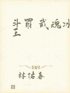 斗罗 武魂冰龙王