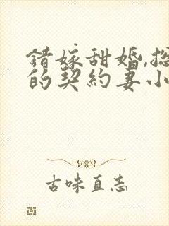 错嫁甜婚,总裁的契约妻小说