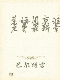 叶妩周京淮全文免费最新章节阅读封面