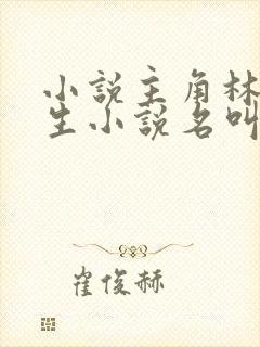 小说主角林天重生小说名叫什么