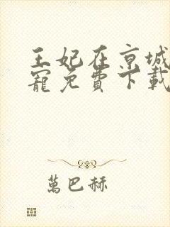 王妃在京城当团宠免费下载txt