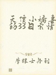 天价小娇妻总裁的33日索情