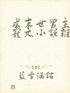 求末世男主重生宠文小说推荐封面