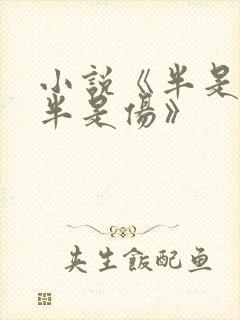 小说《半是蜜糖半是伤》