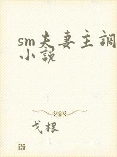 sm夫妻主调教小说封面