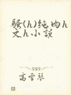 骚(h)纯肉h文h小说