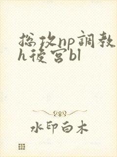 总攻np调教高h后宫bl
