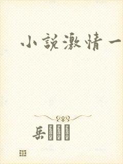 小说激情一区