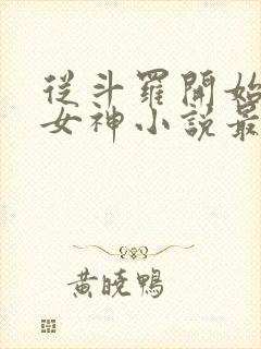 从斗罗开始俘获女神小说最新章节精校版封面