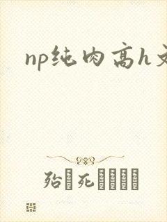 np纯肉高h文