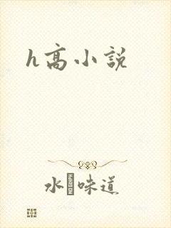 h高小说