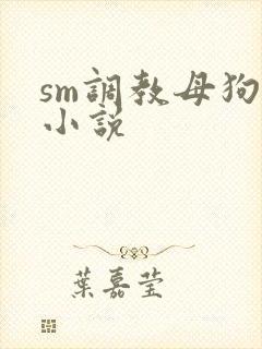 sm调教母狗的小说