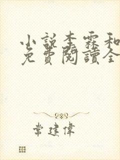 小说李霖和李澜免费阅读全文最新章节封面