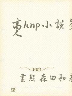 高hnp小说多人