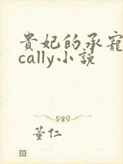 贵妃的承宠日常cally小说封面