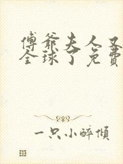 傅爷夫人又惊艳全球了免费全文下载封面