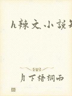 h辣文小说短篇封面