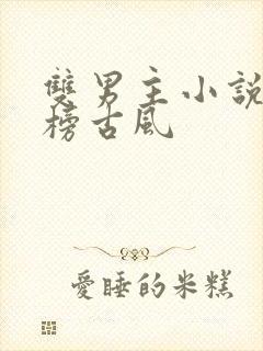 双男主小说排行榜古风封面