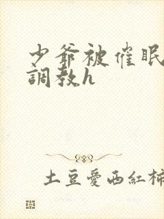 少爷被催眠玩弄调教h封面