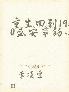 重生回到1980盛安宁的小说