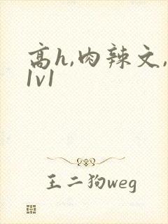 高h,肉辣文,1v1