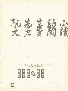 阮先生的小说全文免费阅读无弹窗