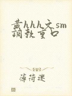 黄hhh文sm调教重口封面