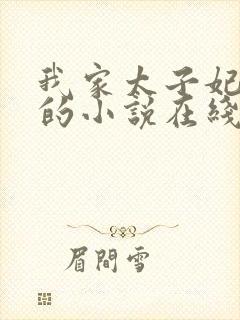 我家太子妃超凶的小说在线阅读