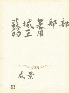 苏城是哪部小说的主角