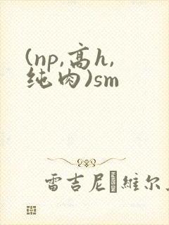 (np,高h,纯肉)sm