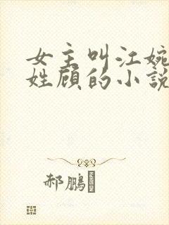 女主叫江婉男主姓顾的小说