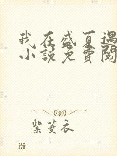 我在盛夏遇见雪小说免费阅读