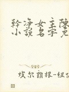 干净女主陈树净小说名字免费