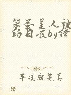 笨蛋美人被疼爱的日夜by错金银