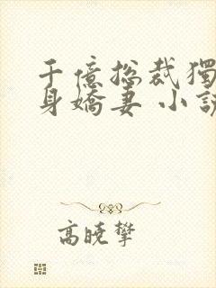 千亿总裁独宠替身娇妻 小说完整