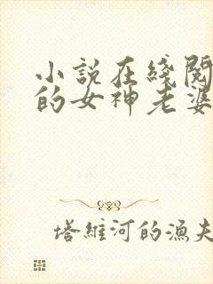 小说在线阅读我的女神老婆