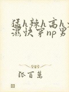 猛h辣h高h文湿快穿np男男