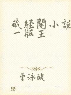 藏经阁小说网第一版主