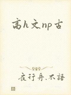 高h文np古封面