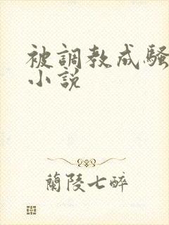 被调教成骚母狗小说