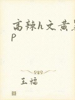 高辣h文黄暴np