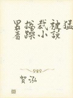 男总裁被猛男按着躁小说