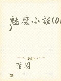魅魔小说(01)