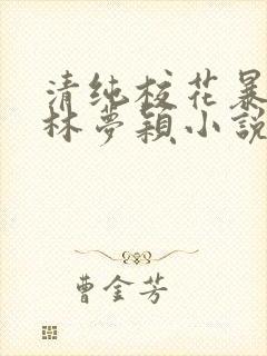 清纯校花暴露记林梦颖小说免费阅读