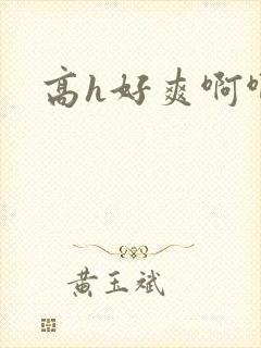 高h好爽啊啊啊封面