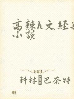 高辣h文经典乱小说