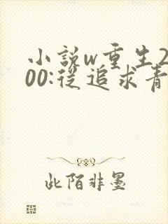 小说w重生2000:从追求青涩校花同桌开始》
